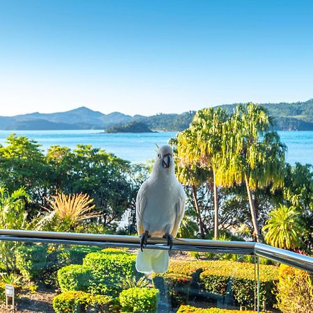 Lagoon Apartments On Hamilton Island By Hiha Bagian luar foto